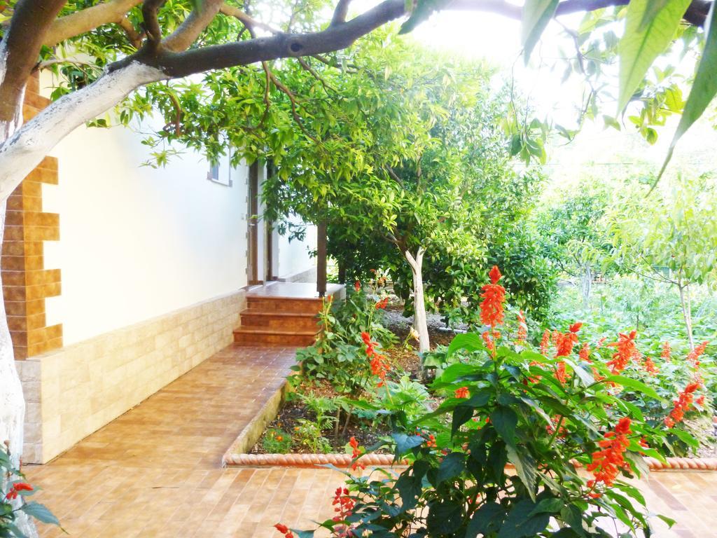 Vila Altini Борш Екстериор снимка