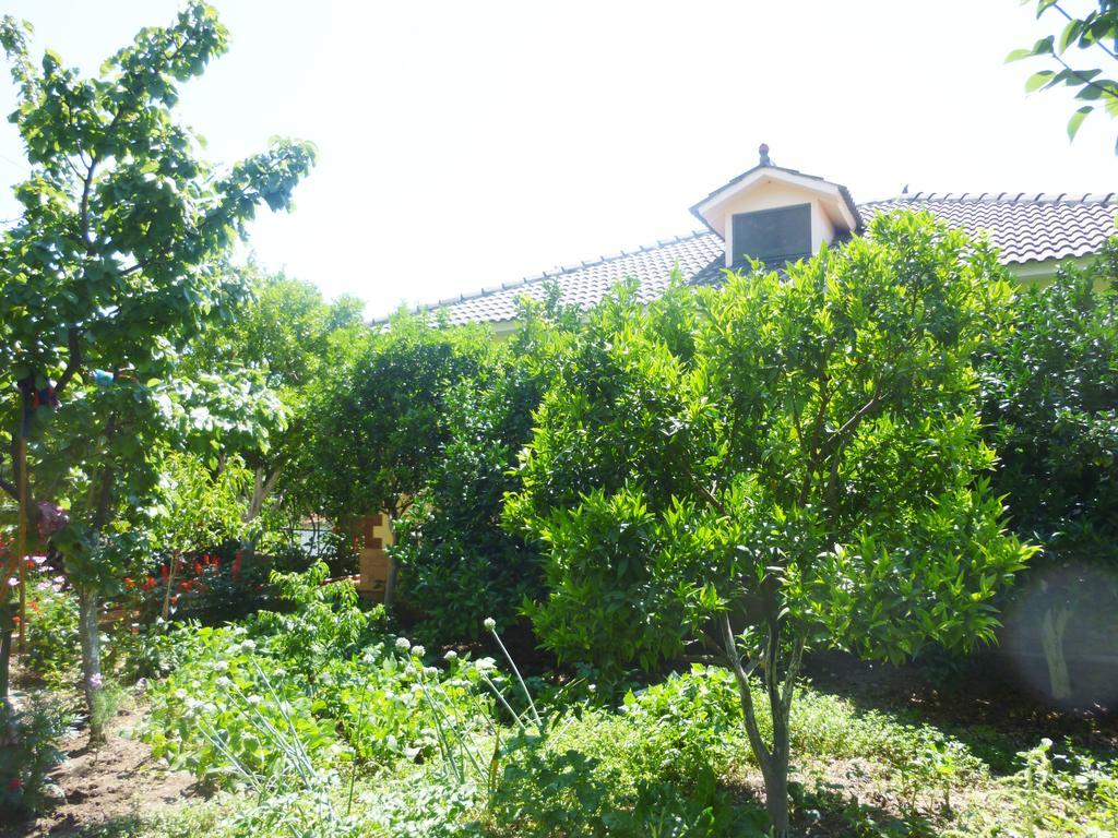 Vila Altini Борш Екстериор снимка