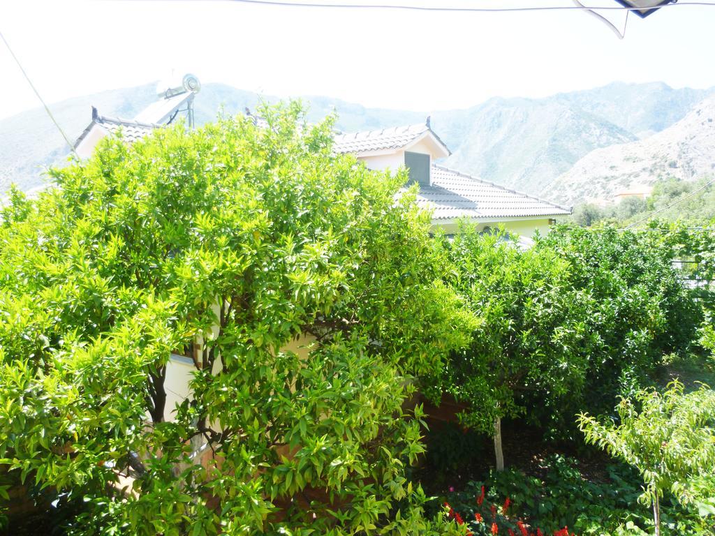 Vila Altini Борш Екстериор снимка