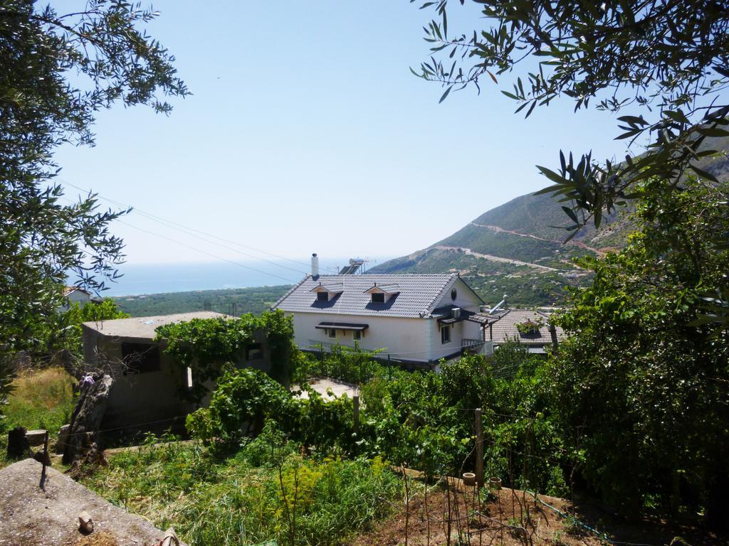 Vila Altini Борш Екстериор снимка